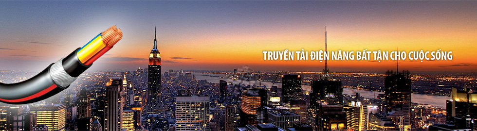 Cáp đồng trần (C)